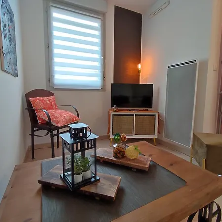 Cosy 2 Pieces Wifi Parking Jardin Metro * Тулуза